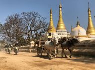  mandalay countryside 1